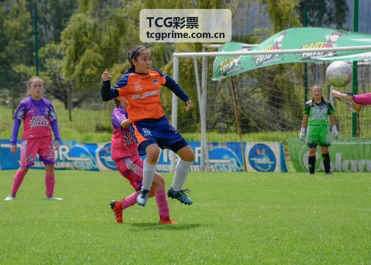 TCG彩票排列三